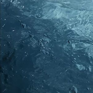 Meet your Posher, Savanah